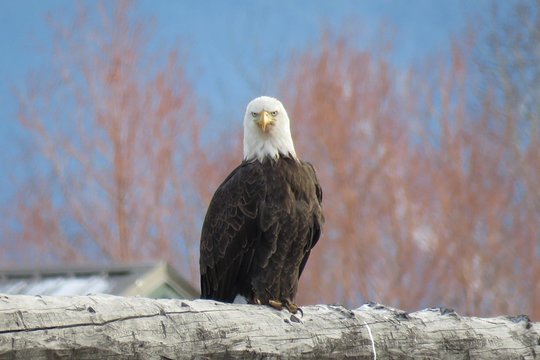 Tour image 11