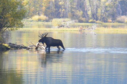 Tour image 3